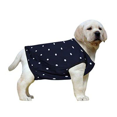 Western Era Funky Soft Cotton Dog T-Shirt, Comfortable Dog Clothing, Sleeveless Vest Puppy Outfit, Apparel (Polka Blue) (XSmall) (12 inches)