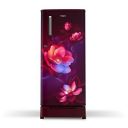 Whirlpool 190 L 2 Star Direct-Cool Single Door Refrigerator (WDE 205 ROY 2S WINE BLOOM)...