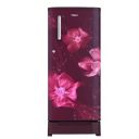 Whirlpool 190 L 4 Star Inverter Single Door Refrigerator (WDE 205 ROY 4S INV, Wine Magnolia, Base Stand)...