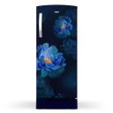 [Extra Rs 3000 OFF] Whirlpool 207 L 5 Star Icemagic Pro Inverter Direct-Cool Single Door Refrigerator (230 IMPRO ROY 5S INV SAPPHIRE PEONY-Y)...