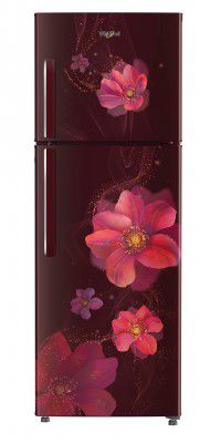 Whirlpool 245 L 2 Star Frost-Free Double Door Refrigerator (NEO 258H ROY 2S)