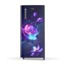 Whirlpool 190 L 2 Star Direct-Cool Single Door Refrigerator (WDE 205 CLS PLUS 2S SAPPHIRE BLOOM)...