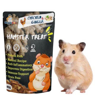 WiggleBoo Chicken & Ginger Hamster Treat | Protein Rich | Anti-Inflammatory | Crunchy Healthy Snacks | 45g