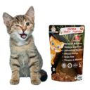 WiggleBoo Chicken, Carrot & Pumpkin Cat Treat | Protein Rich | Natural Detoxifier | Crunchy Snack | (45g)...