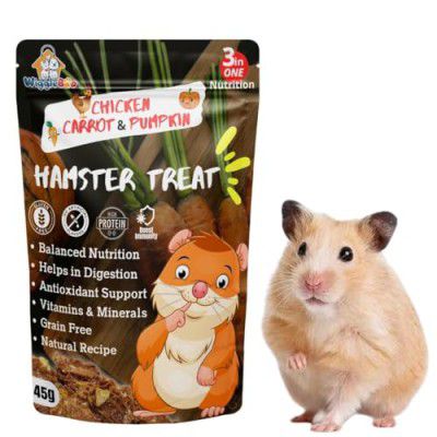 WiggleBoo Chicken, Carrot & Pumpkin Hamster Treat | Protein Rich | Natural Detoxifier | Crunchy Food Snack | 45g