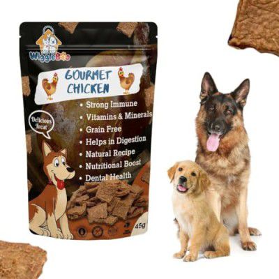 Wiggleboo Gourmet Chicken Dog Treat - Irresistible Flavor Fusion for a Healthy Pet (45g)