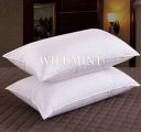 WILD MINT Microfibre Solid Sleeping Pillow Pack of 2 ...