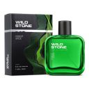Wild Stone Forest Spice Perfume for Men, 100ml...