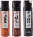 Wild Stone Iron, Bronze and Stone Perfume Body Spray Combo for Women, Pack of 3 (120 ml Each)...