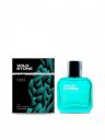 Wild Stone Men Edge Eau de Parfum 100 ml...