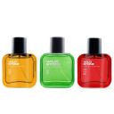Wild Stone Night Rider, Red and Forest Spice Long Lasting Perfume for Men, Pack of 3 (30ml each)...