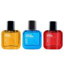 Wild Stone Night Rider, Red and Hydra Energy Long Lasting Perfume for Men, Pack of 3 (30ml each)...