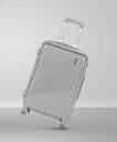 Wildcraft  Small Cabin Suitcase (57 cm) - Epsilon - Silver...
