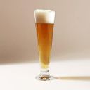 Wonderchef Bormioli Palladio Beer Tumbler 385 ml, Set of 6...