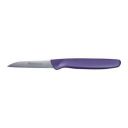 Wonderchef Solingen Smart-line Classic Stainless Steel Vegetable Paring Knife, 8cm, Purple...