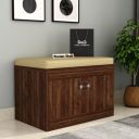 Wooden Street Anton Shoe Rack with Cushion Seat | Engineered Wood Horizontal 2 Doors Shoe Cabinet with Seat (24 L x 15 W x 17 H Inches) | Columbian Walnut Finish with 1 Year Warranty...