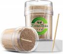 Wooden Toothpicks | 2 Packs of 250 Toothpick Sticks (500 Sticks)...