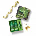 WOW Skin Science Green Tea Restoring Kit - Shampoo – 300 ml, Conditioner – 300 ml, Face Serum – 30 ml - Total Net Vol. 630 ml...