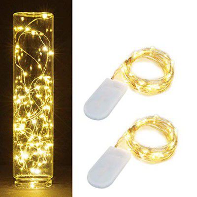 XERGY 20 LED 2 Meter Long Battery Powered Decoration Starry String Lights Operated by 2xCR2032 with Large Beads Copper Wire for DIY Valentine Gift (Warm White) - Pack of 2