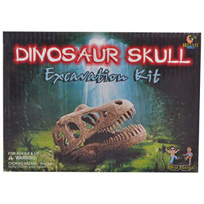 Xinga Bunga Dinosaur Skull