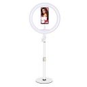 XO L03/ZD666 10 inch USB LED Ring Light with 3 Colors Modes for YouTube | Photo-Shoot | Video Shoot | Live Stream | Makeup & Vlogging - White...