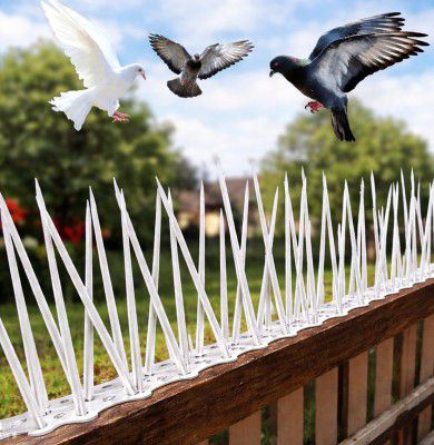 XONOV Bird and Pigeon Spikes, Pigeon Control (Pack of 10 | 13 Inch)