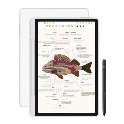 [Extra Rs.6750 OFF] XP-Pen Magic Note Pad 10.95" Digital Note-Taking Tablet (X3 Pro Pencil 2), 6+128GB, Android 14 – for Writing