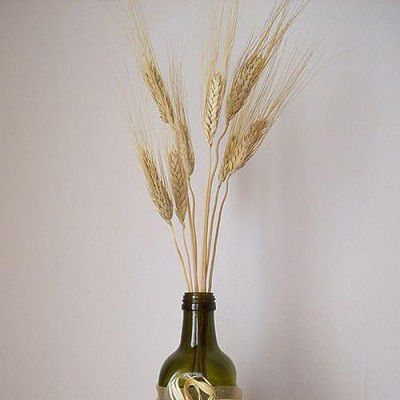 XTORE Dried 10 Pcs Wheat Grass for Home Decoration (Pack of 10)