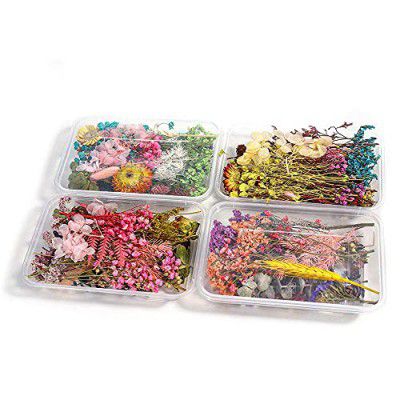 YellowCult Natural Real Dried Flowers for Art Craft - Mixed & Multicolor for Soap, Artificial Candles, Scrapbooking, DIY, Resin Jewelry, Pendant - [1 Set of Box] Multicolor