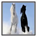Yogine Rolled Paper Poster Wall Art & Wall Décor - Self Adhesive (12x12 inches)-Rolled-211/222-68...