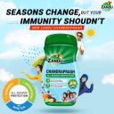 Zandu Chandraprash-450g...