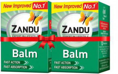 ZANDU Pain Relief | Fast Action & Absorption Balm (2 x 50 ml)