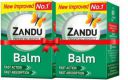 ZANDU Pain Relief | Fast Action & Absorption Balm (2 x 50 ml)...