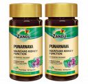Zandu Punarnava Capsules - (Pack of 60 Veg capsules x 2) With Goodness of Natural Punarnava Extract known for Good Gut Health...