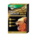 Zandu Vigorex Shilajit Gold...