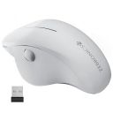 ZEBRONICS Dolphin Silent Wireless Mouse, Dual Mode Bluetooth (White)...
