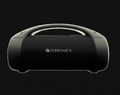 ZEBRONICS Zeb-Sound Feast 400 with Google & Alexa Compatible Smart Speaker (RGB Light, Black)