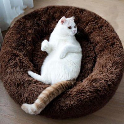 ZEXSAZONE Cozy Comfortable Dog Bed Washable and Soft Mattress of Dog Bed for All Season Summer Winter pet Bed