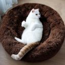 ZEXSAZONE Cozy Comfortable Dog Bed Washable and Soft Mattress of Dog Bed for All Season Summer Winter pet Bed...