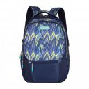 Zipline Casual backpack School bags for boys & Girls...