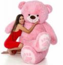 Ziraat 4 ft Soft Pink Color Teddy Bear For Gift To Someone Special AS 3 - 122 cm  (Pink)...