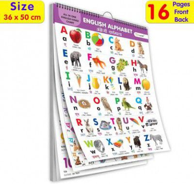 ZRIYOS ENGLISH-HINDI Chart For Kids (16 Charts ) Children Spiral Wall Picture Chart
